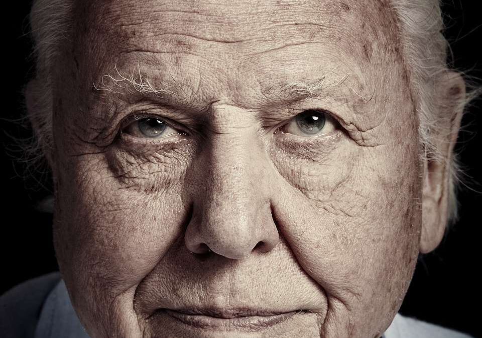 Sir David Attenborough at 100: The Man Who Taught the World to Listen to Nature