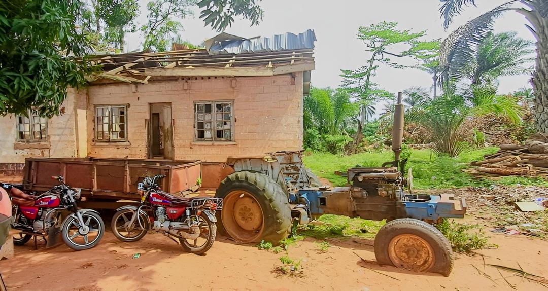 Akwukwu Igbo Oil Plantation