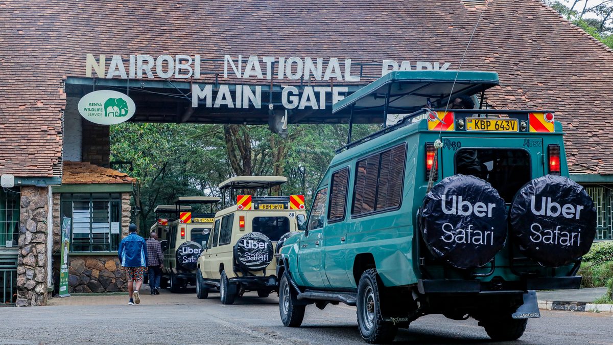 Nairobi National Park: Where the City Meets the Wild